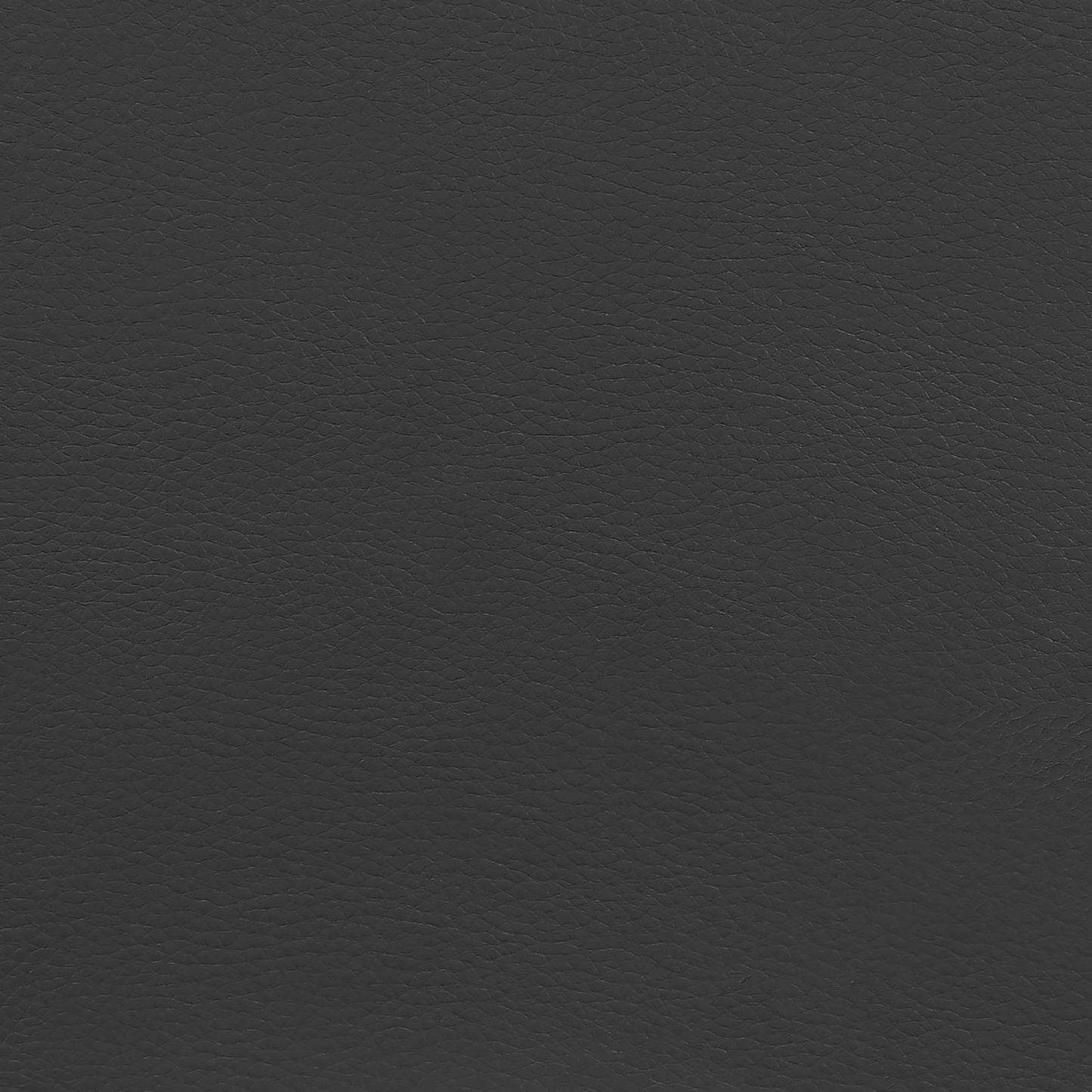 443450331