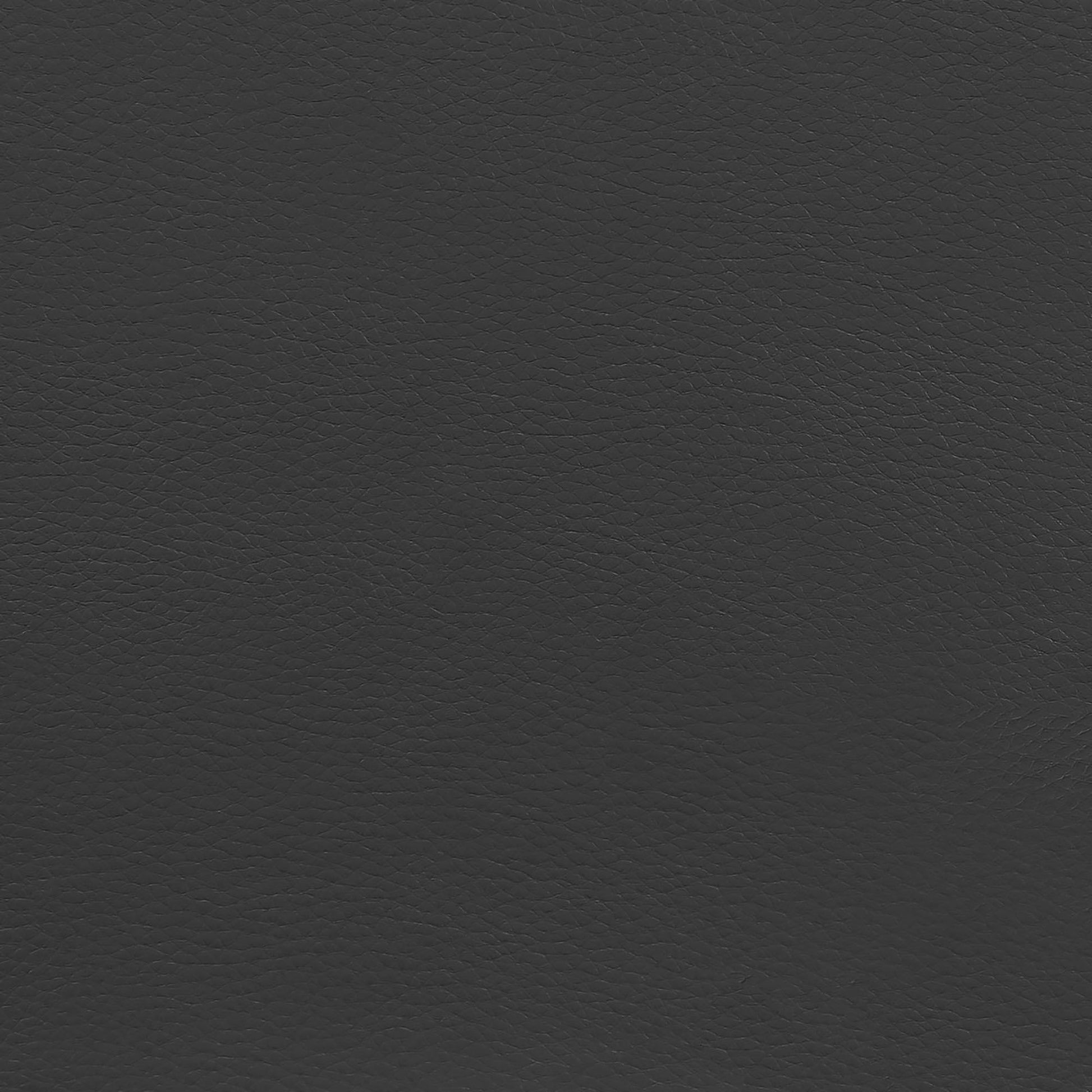 443450331
